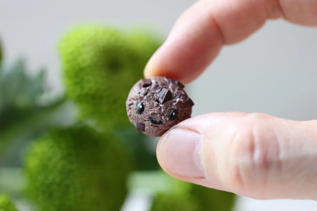 You Are One Smart Cookie, Graduation Gift Class Of 2024 University Graduate, College, High School, Masters Degree Gift 7