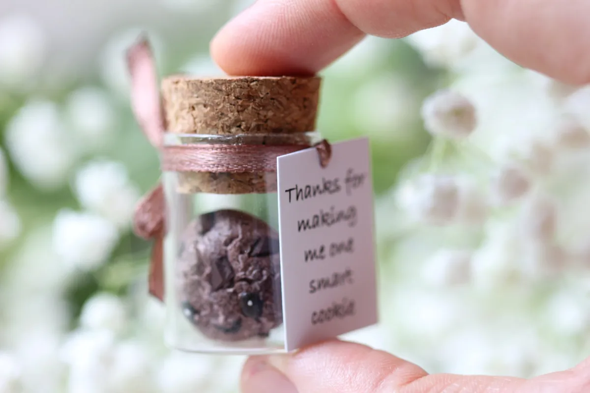 You Are One Smart Cookie, Graduation Gift Class Of 2024 University Graduate, College, High School, Masters Degree Gift 8