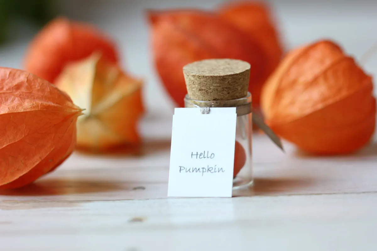 Pumpkin Enchantment Polymer Clay Pumpkin in a Bottle Miniature Halloween Decorations  Holiday  Party Favors Personalized Funny Unique Gift 3