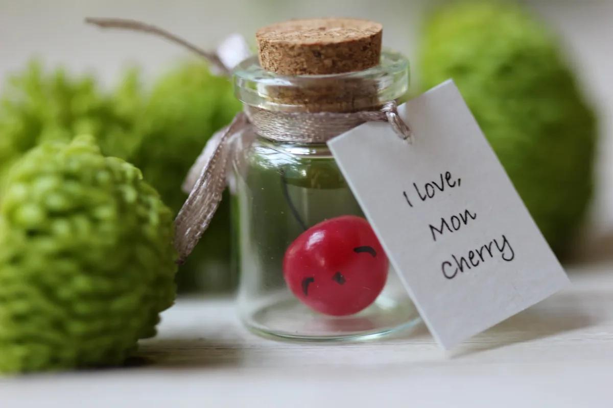 Cherry Miniature Figurine Boyfriend Girlfriend Friendship Motivational Miss you Gift Ideas Family Reunion Favors Customized Party Favors 2