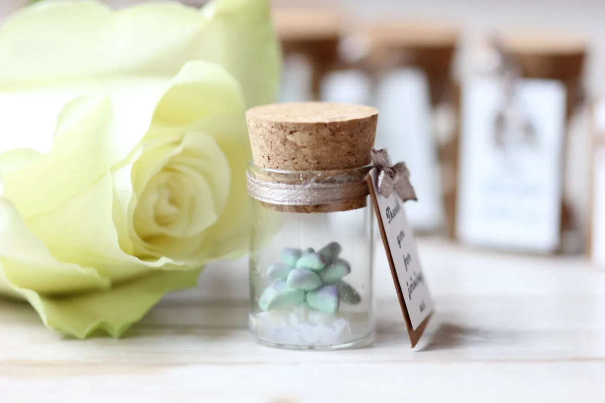 Bulk Succulent Wedding Favors for Guests Personalized Thank You Gift Customized Bridal Shower Baptism Anniversary Baby Shower Party Favors 3