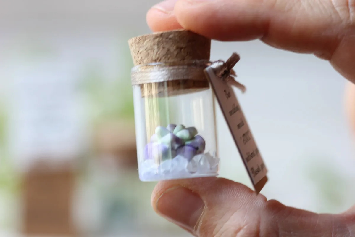 Succulent in Glass Bottle with Customizable Labels Bulk Party Favors for Guests Personalized Thank You Gift Customized Wedding Favors 5