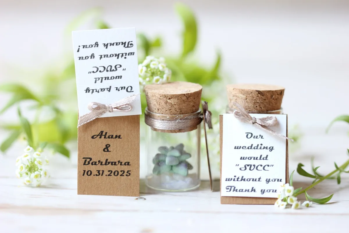 Succulent in Glass Bottle with Customizable Labels Bulk Wedding Favors for Guests Personalized Thank You Gift Customized Party Favors