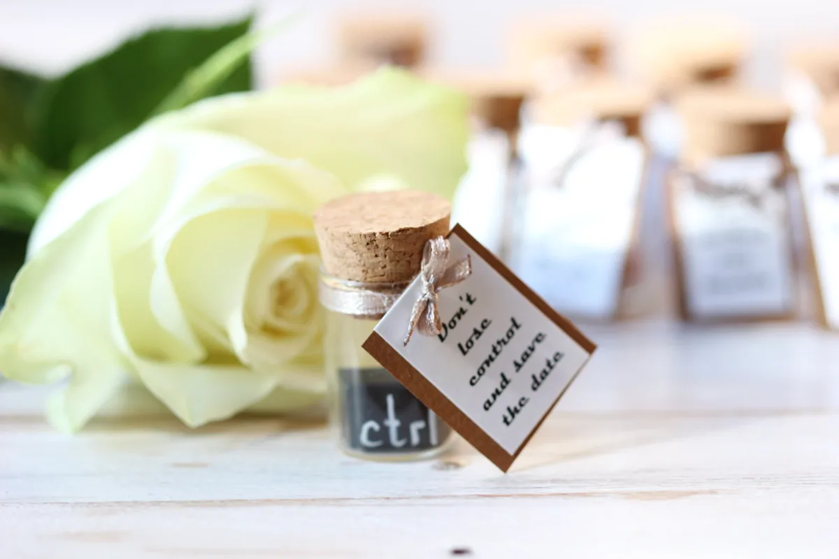 Wedding Favors for Guests in Bulk Nuptial CTRL: Personalized Bottle with a Playful Twist Anniversary Bridal Shower Birthday Gifts Pun Joke 7