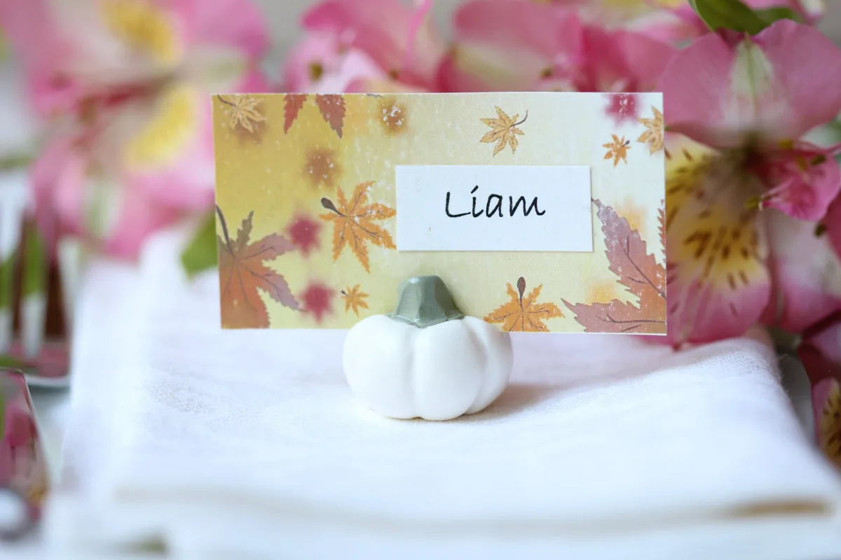 White Pumpkin, Fall Wedding Card Holders, Cute Wedding Favors, Wedding Party Supplies Outdoor Wedding Party Gifts Harvest Halloween Party 1