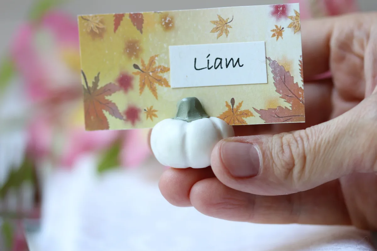White Pumpkin, Fall Wedding Card Holders, Cute Wedding Favors, Wedding Party Supplies Outdoor Wedding Party Gifts Harvest Halloween Party 2