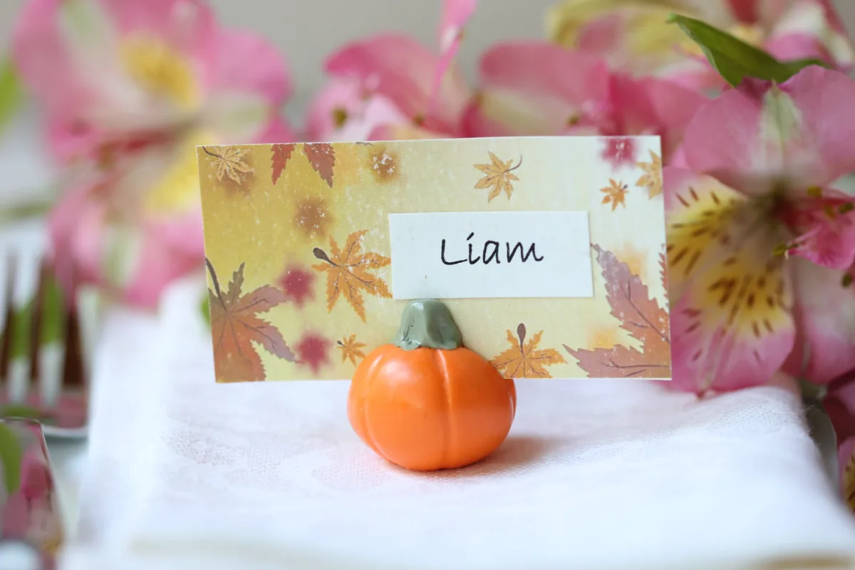 White Pumpkin, Fall Wedding Card Holders, Cute Wedding Favors, Wedding Party Supplies Outdoor Wedding Party Gifts Harvest Halloween Party 4