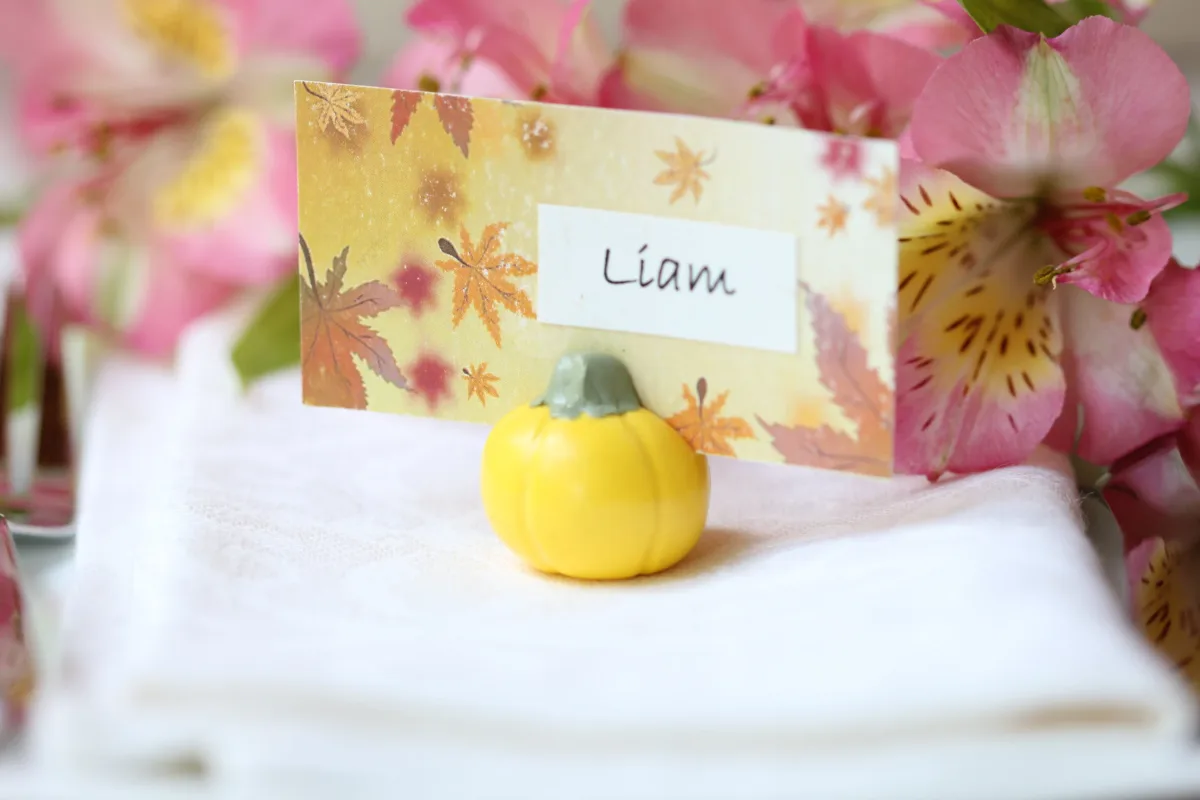 White Pumpkin, Fall Wedding Card Holders, Cute Wedding Favors, Wedding Party Supplies Outdoor Wedding Party Gifts Harvest Halloween Party 6