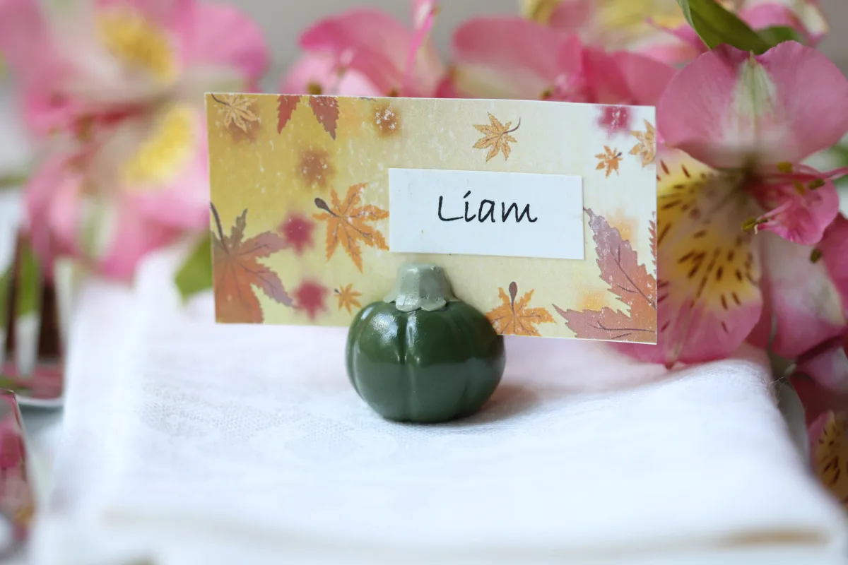 White Pumpkin, Fall Wedding Card Holders, Cute Wedding Favors, Wedding Party Supplies Outdoor Wedding Party Gifts Harvest Halloween Party 8