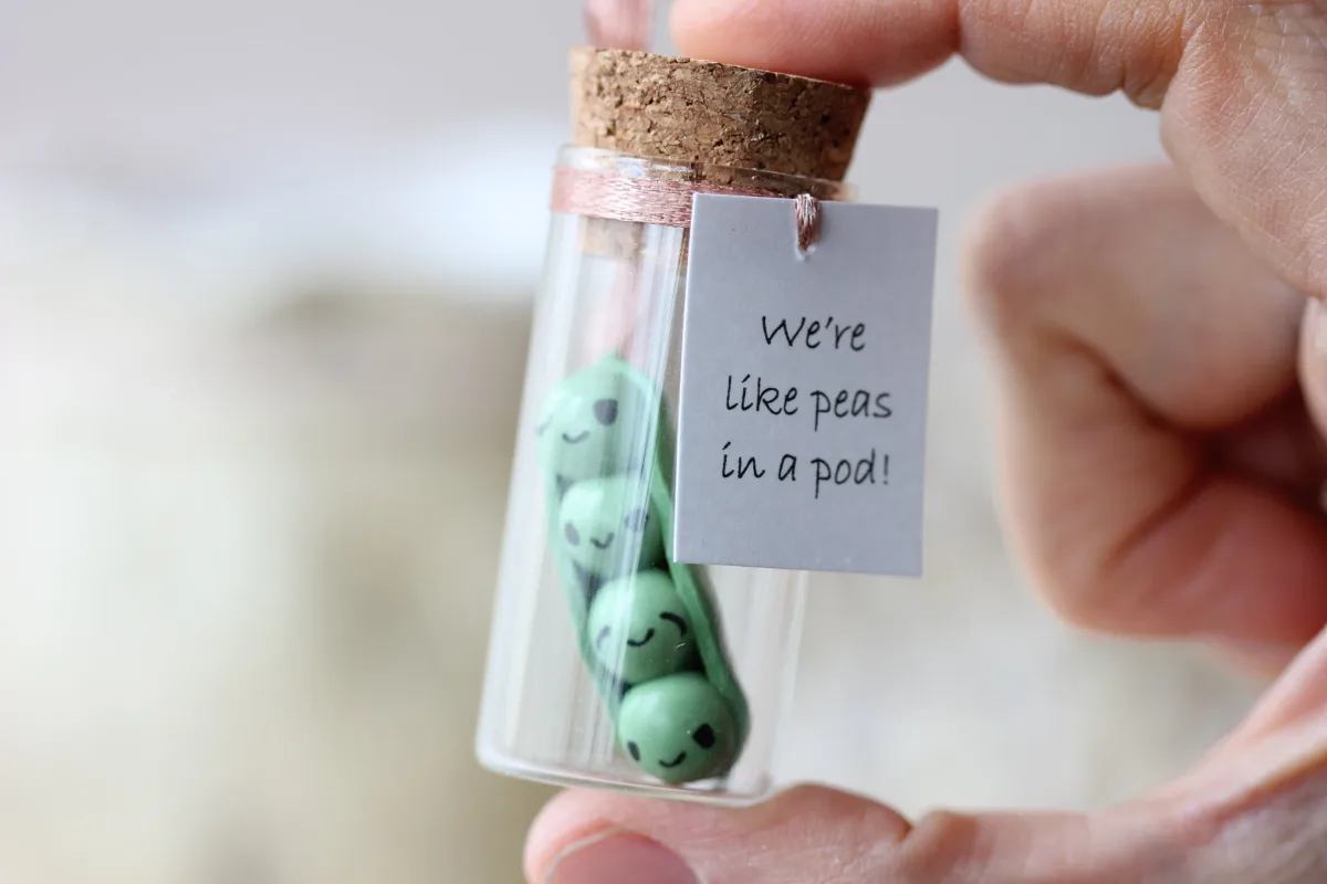Four Peas in a Pod Funny Birthday Gift for Peas Lovers Party Favors Anniversary Gift Personalized Family Present Idea for Parents 2