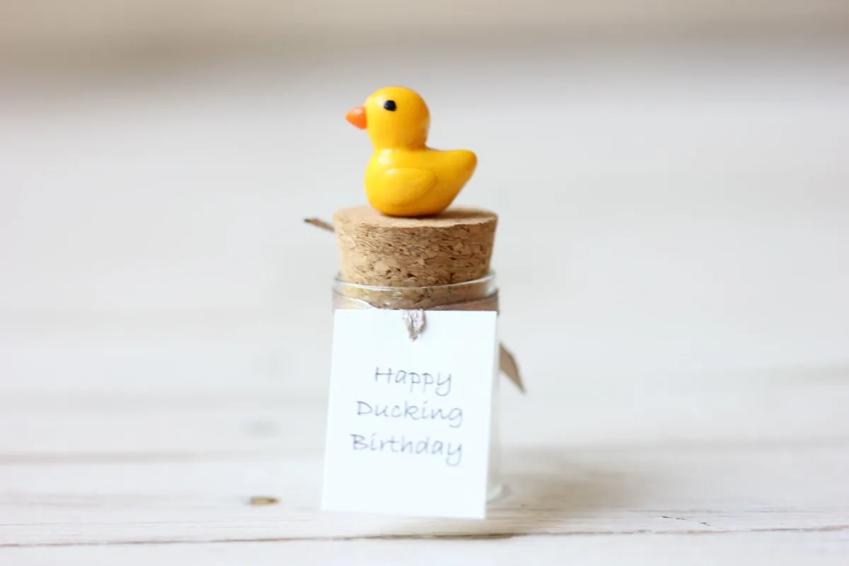 Miniature Duckling in a Bottle, Anniversary Birthday Valentines Day Gift Family Reunion Favors Customized Punny Gift for Duck Lovers 5