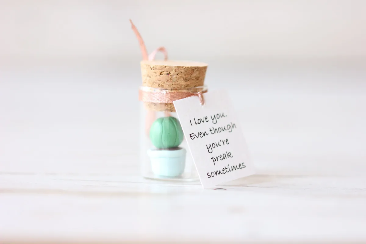 Romantic Anniversary Gift for Wife Husband, Handmade Clay Cactus 1