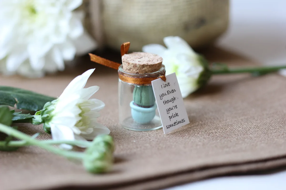Romantic Anniversary Gift for Wife Husband, Handmade Clay Cactus 3