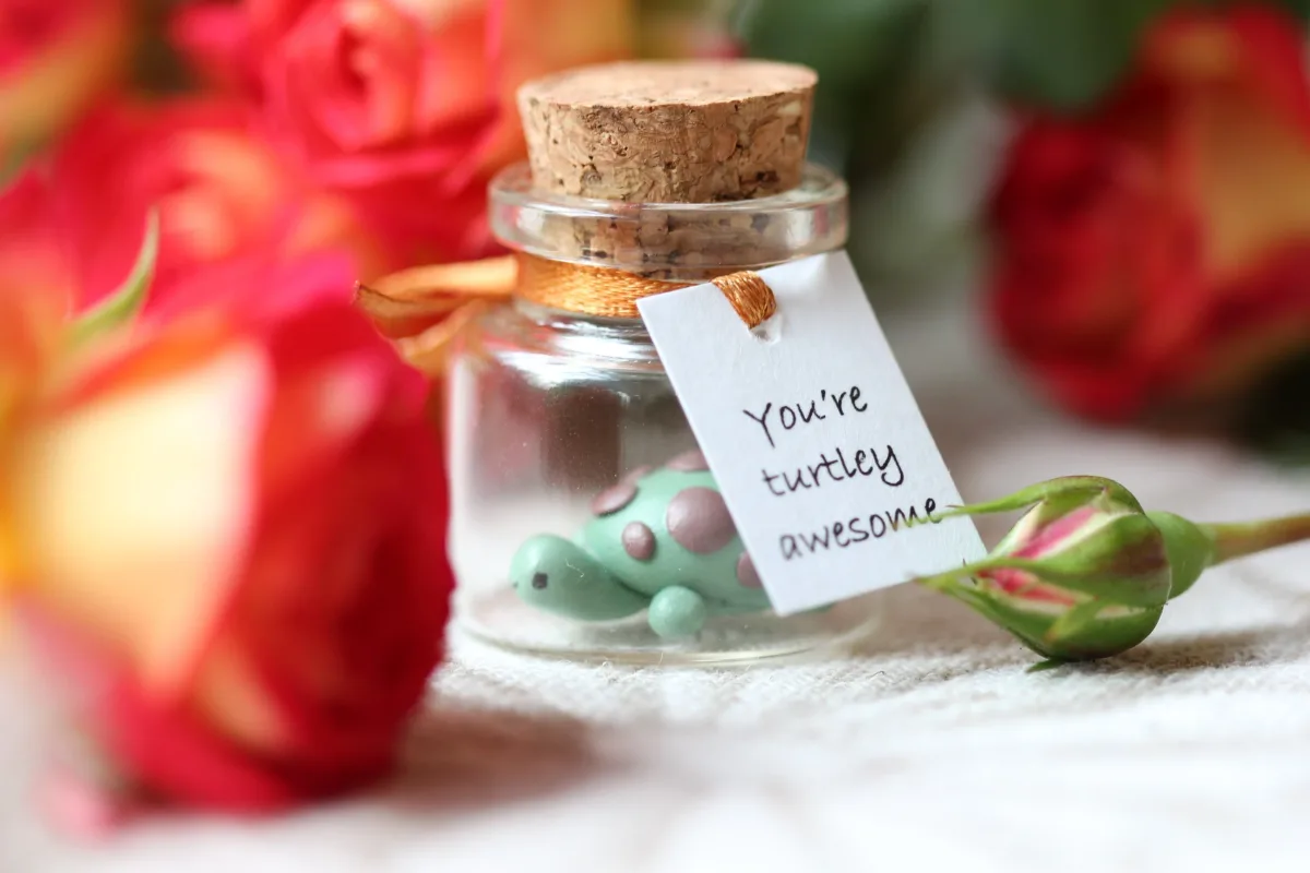 You're Turtley Awesome Turtle Birthday Gift for Girlfriend Boyfriend Anniversary Romantic Funny Valentines Day Gift for Wife Husband