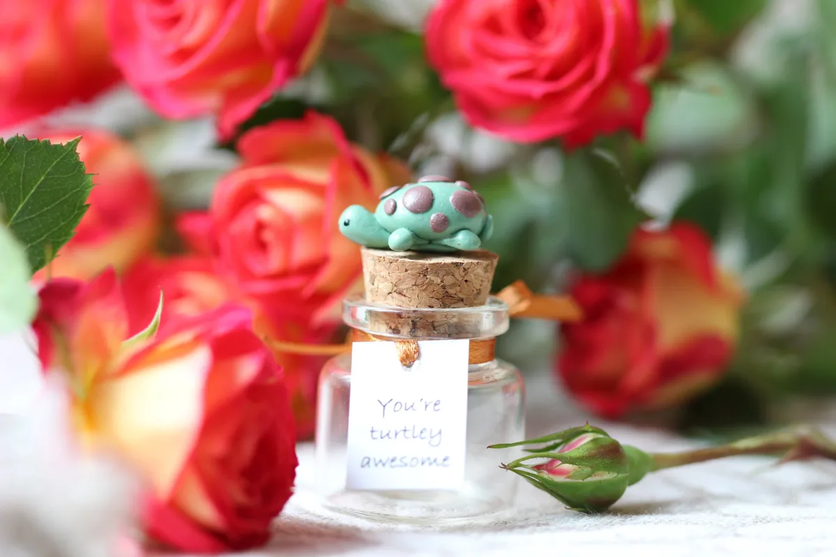 You're Turtley Awesome Turtle Birthday Gift for Girlfriend Boyfriend Anniversary Romantic Funny Valentines Day Gift for Wife Husband 2