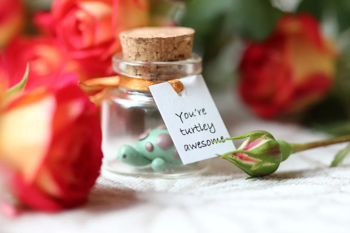 You're Turtley Awesome Turtle Birthday Gift for Girlfriend Boyfriend Anniversary Romantic Funny Valentines Day Gift for Wife Husband 4