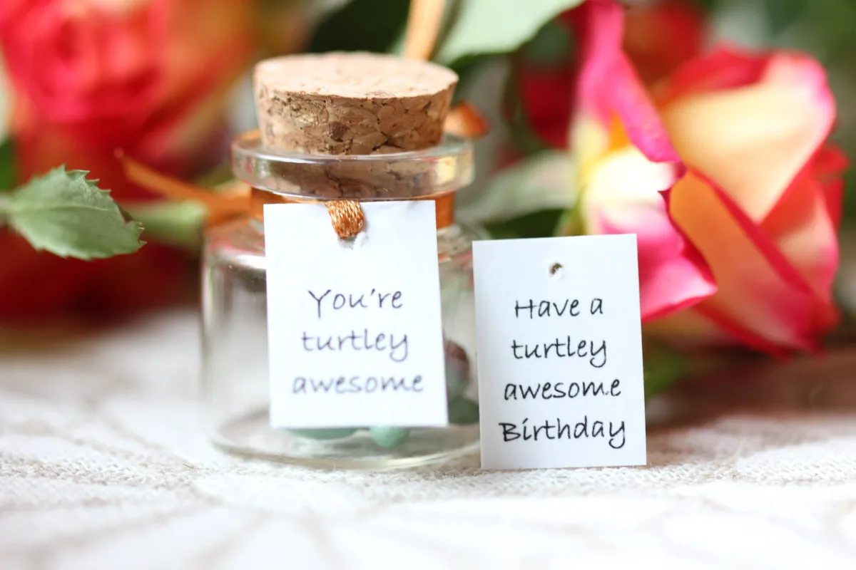 You're Turtley Awesome Turtle Birthday Gift for Girlfriend Boyfriend Anniversary Romantic Funny Valentines Day Gift for Wife Husband 9