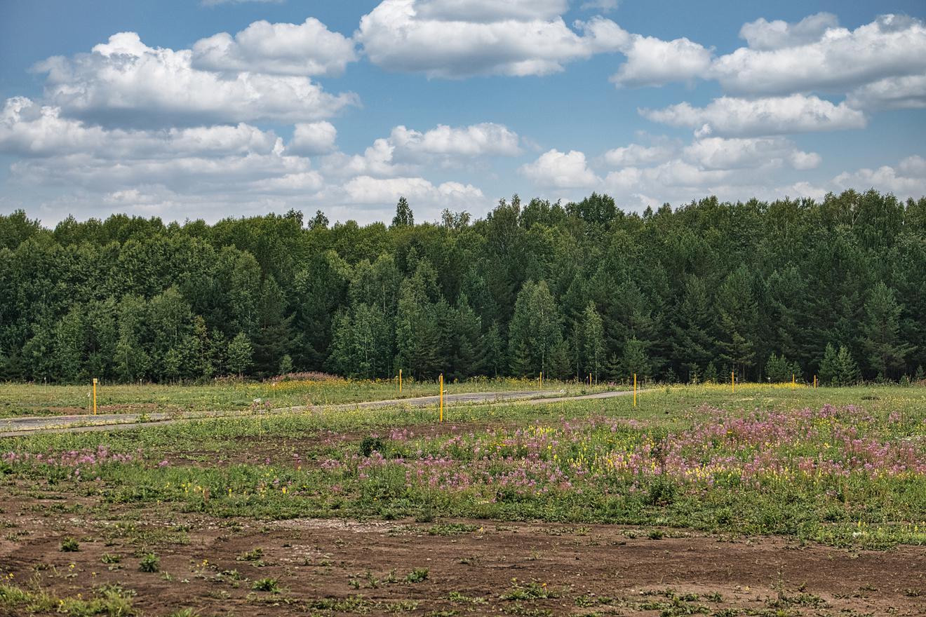 Как оформить договор купли-продажи земельного участка