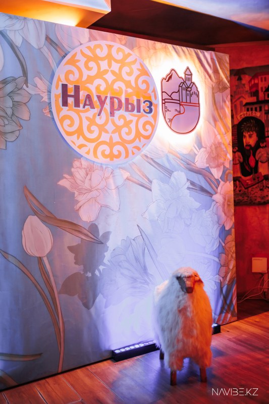NAVIBE.KZ-19.jpg
