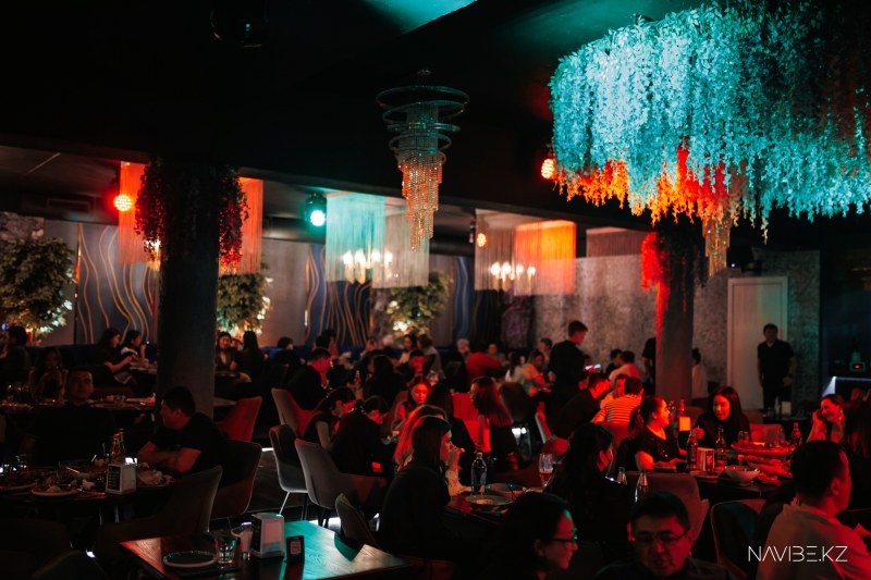 NAVIBE.KZ-90.jpg