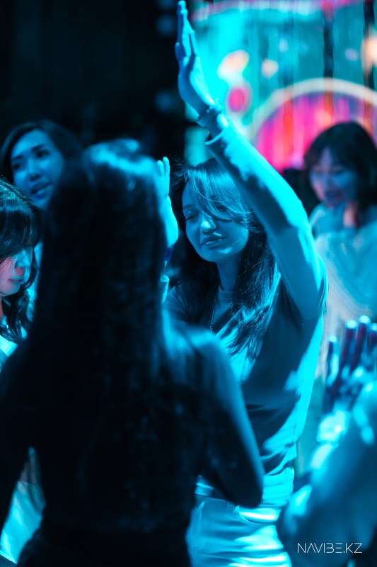 navibe-62.jpg