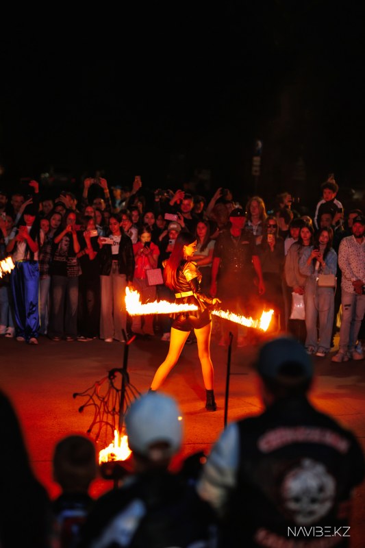 navibe.kz-201.jpg