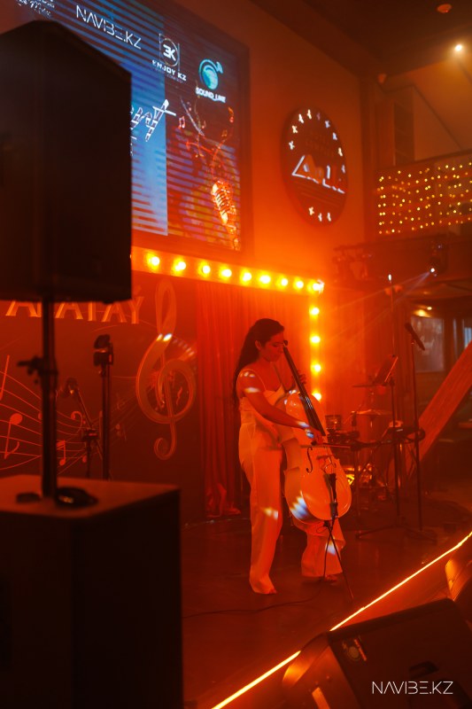 navibe.kz-1.jpg