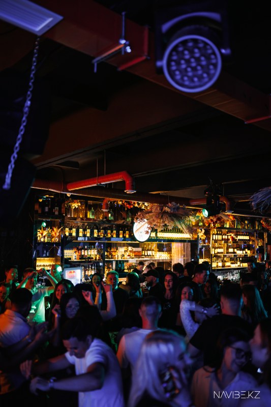 NAVIBE.KZ-84.jpg