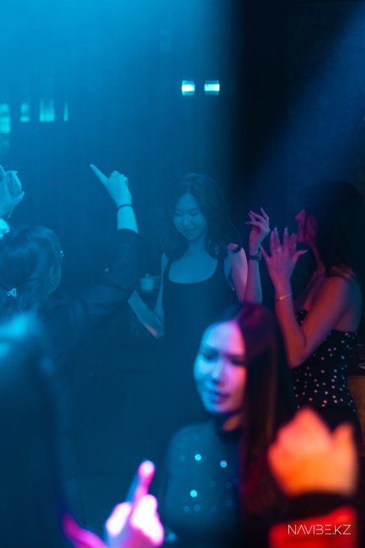navibe-8.jpg