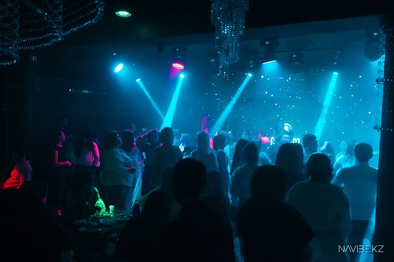 NAVIBE.-34.jpg