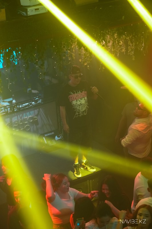 navibe.-47.jpg