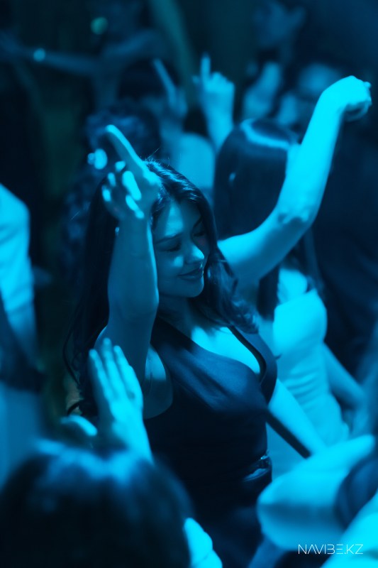 navibe.-18.jpg