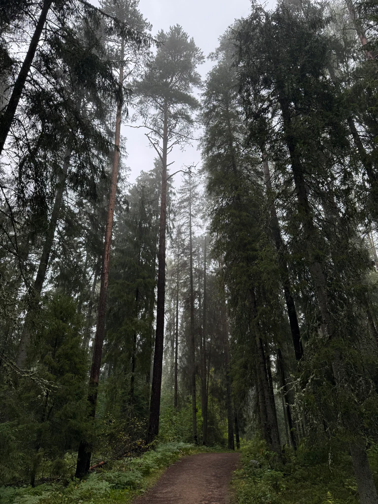 august photo 12