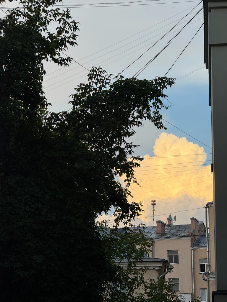 july photo 6