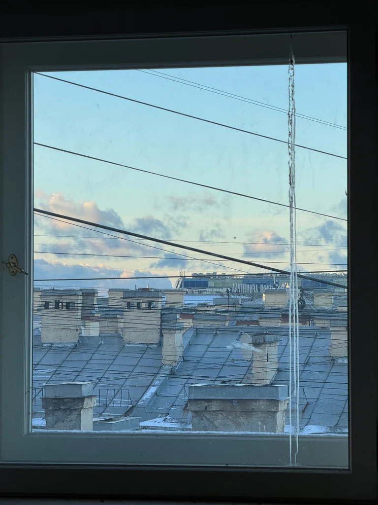 november photo 7