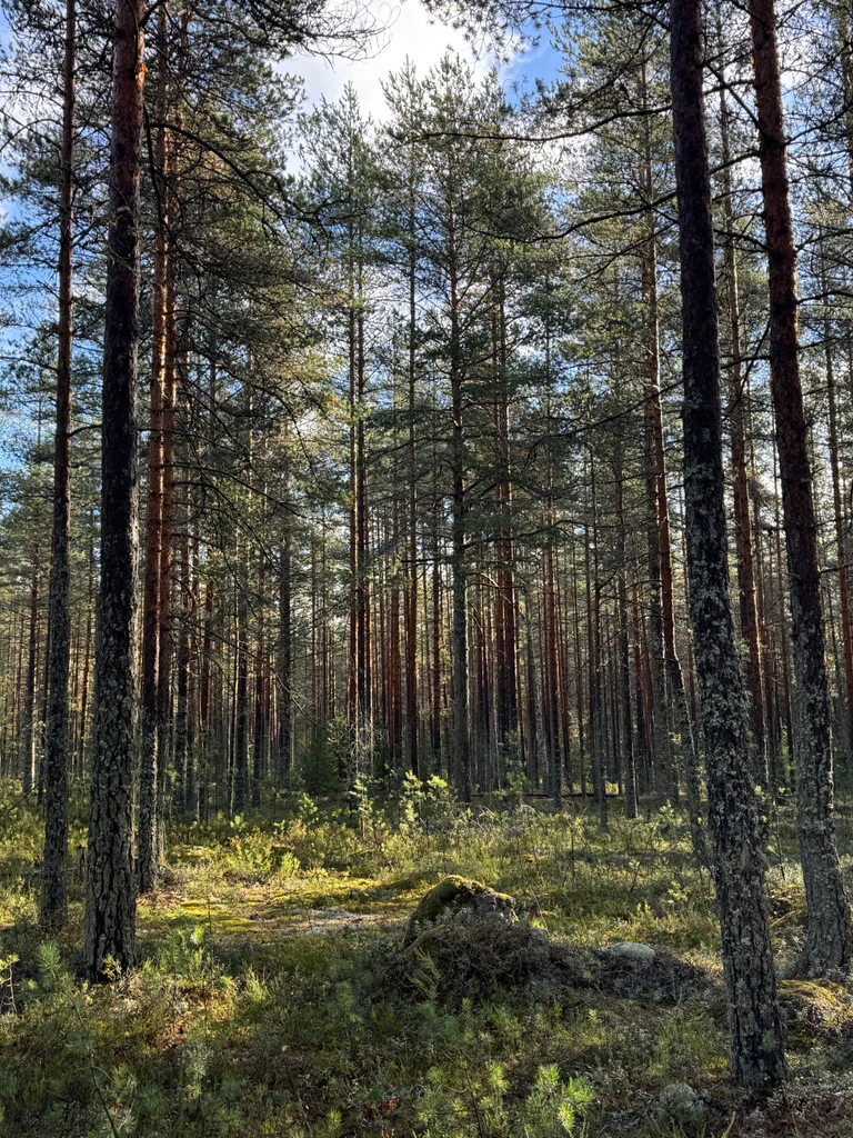 october photo 5