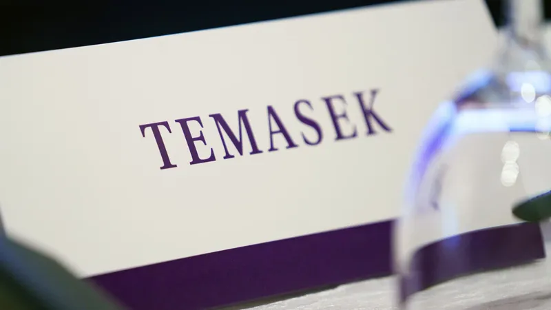 Temasek предупреждает: обвал AI-пузыря — главный риск для рынков