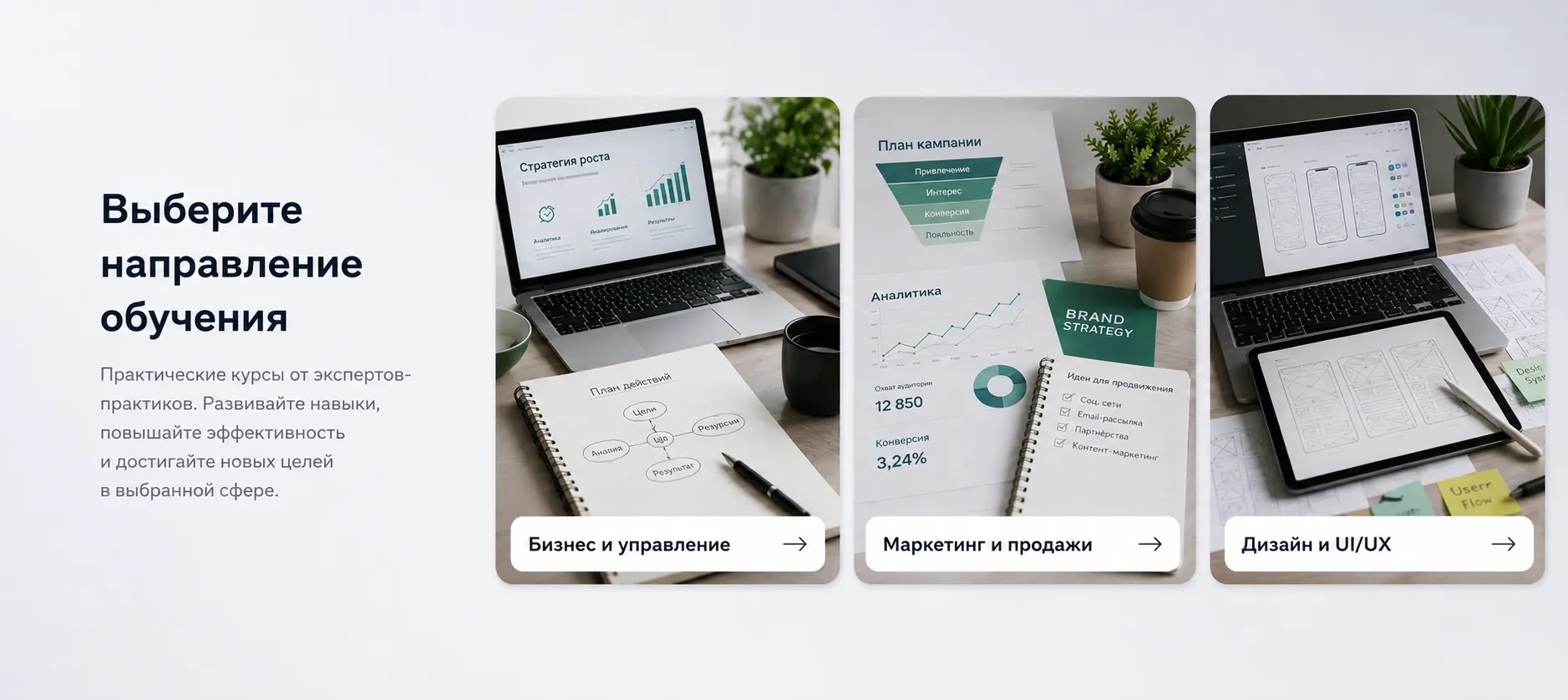 Баннеры направлений на главной академии