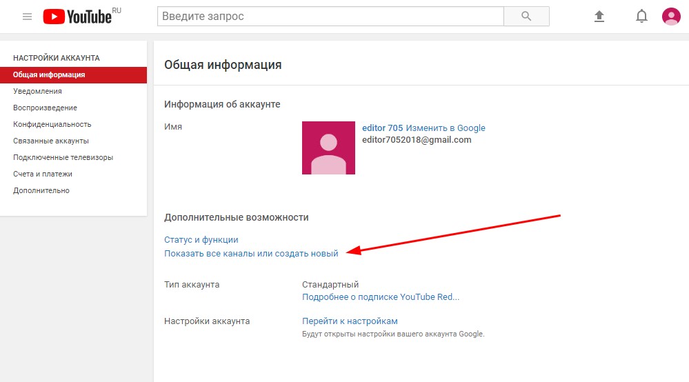 Общая информация аккаунта YouTube