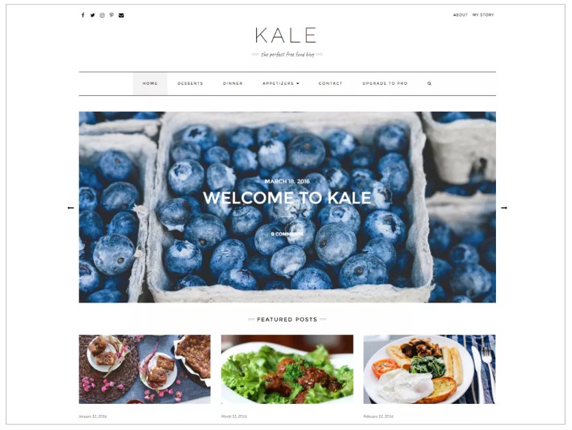 Темы WordPress. Kale