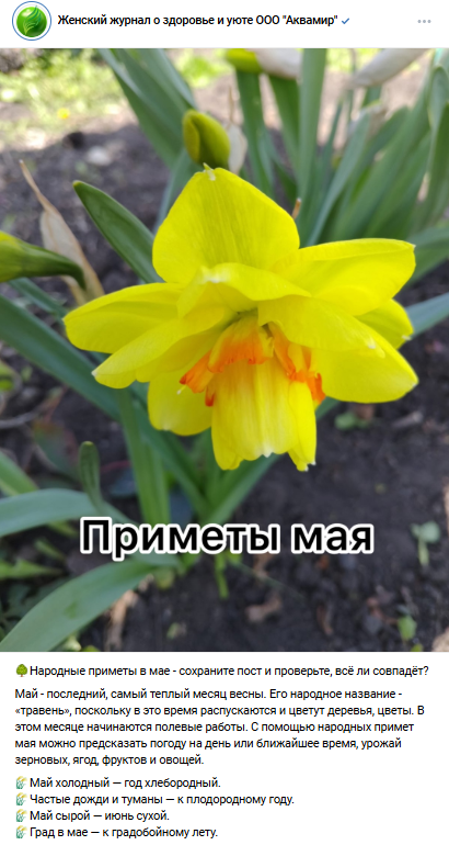 вирусный контент