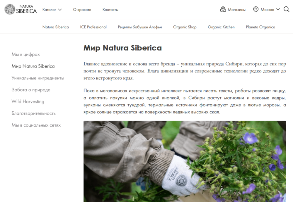 основа позиционирования