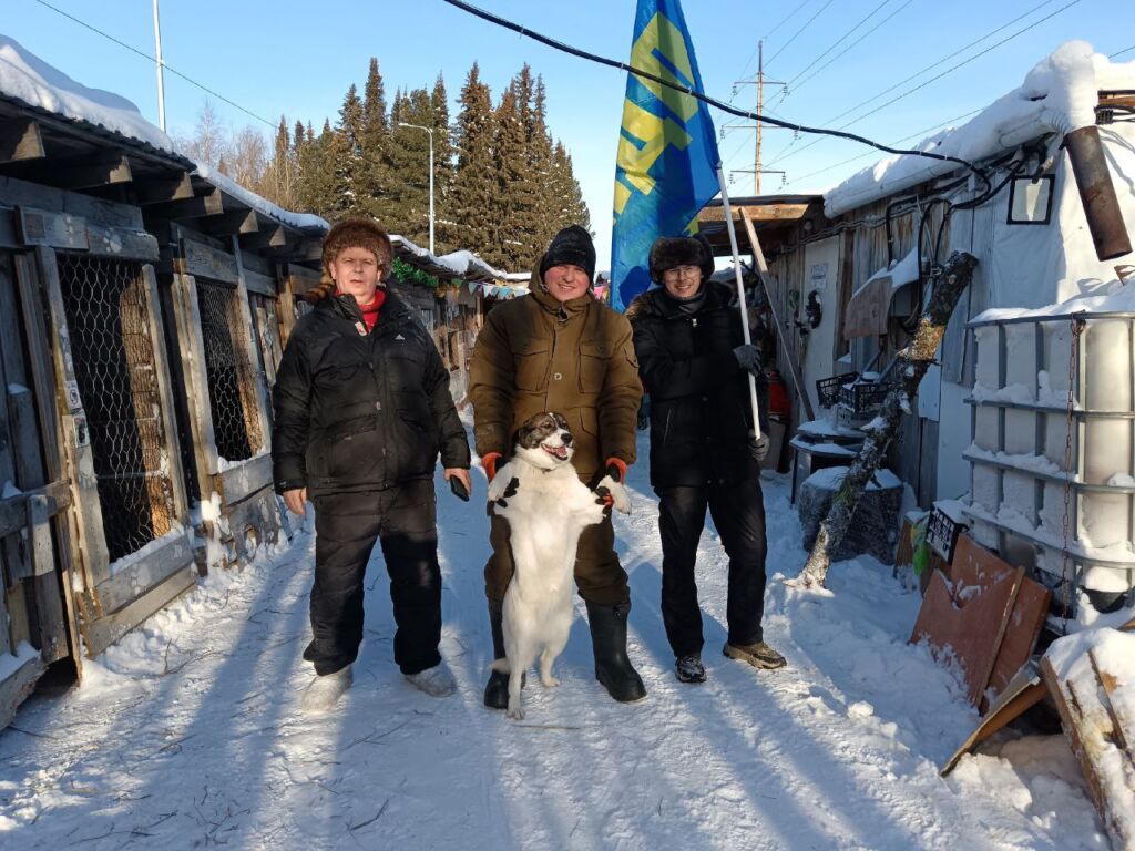 Партийцы помогли приюту для бездомных животных очистить вольеры от снега