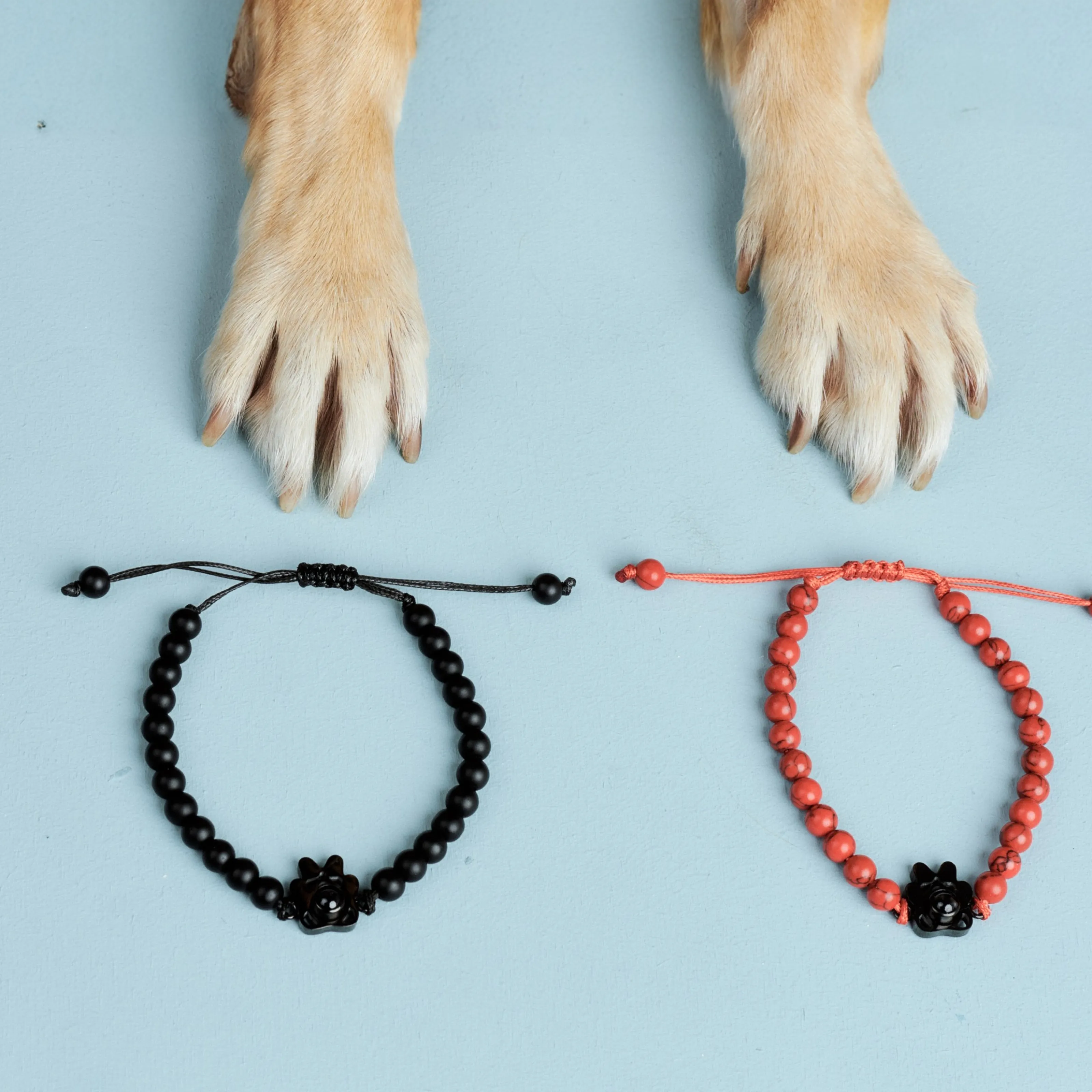 Эстетика красного кахолонга