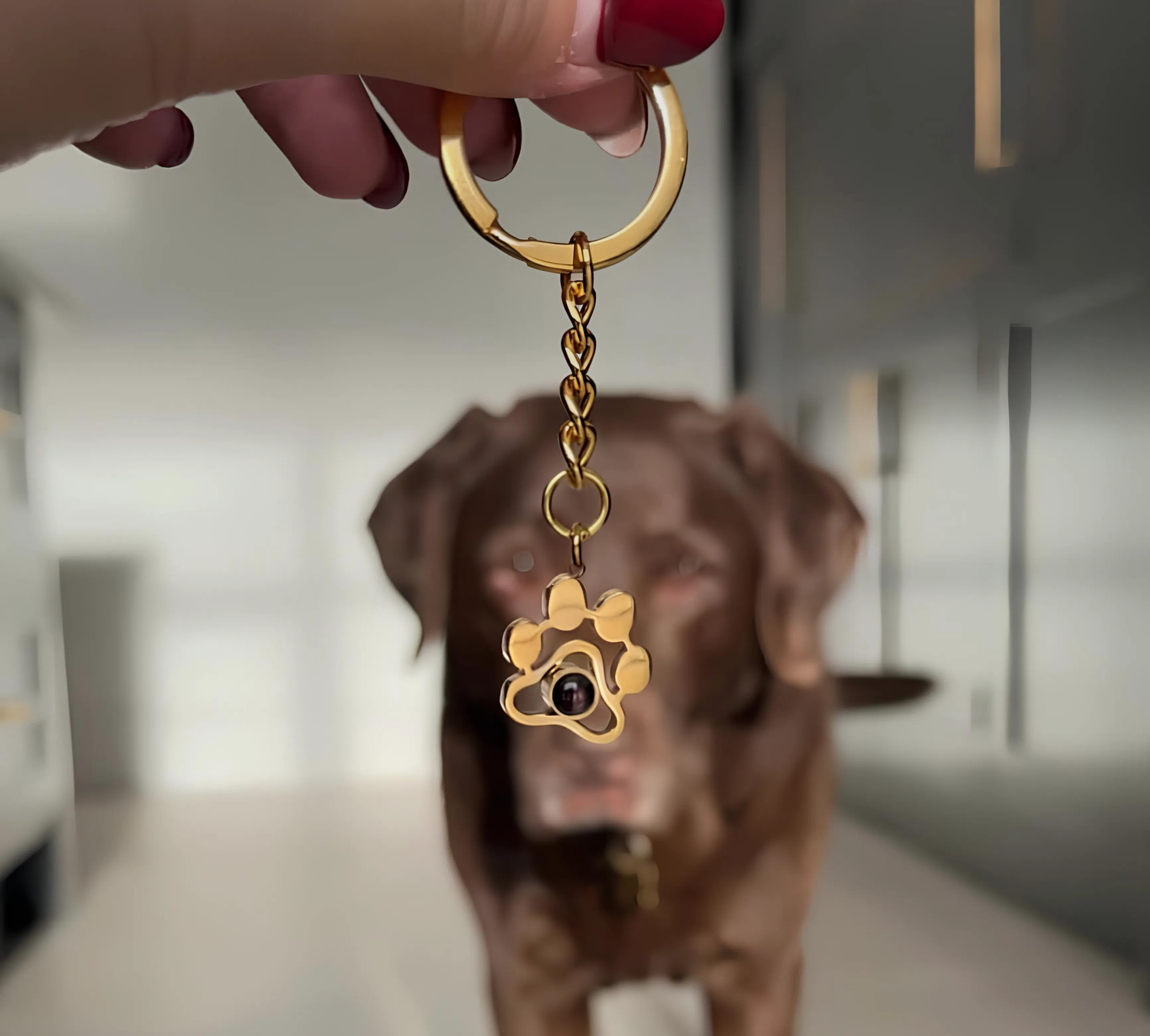 Сувенирный брелок лапка для ключей серебро