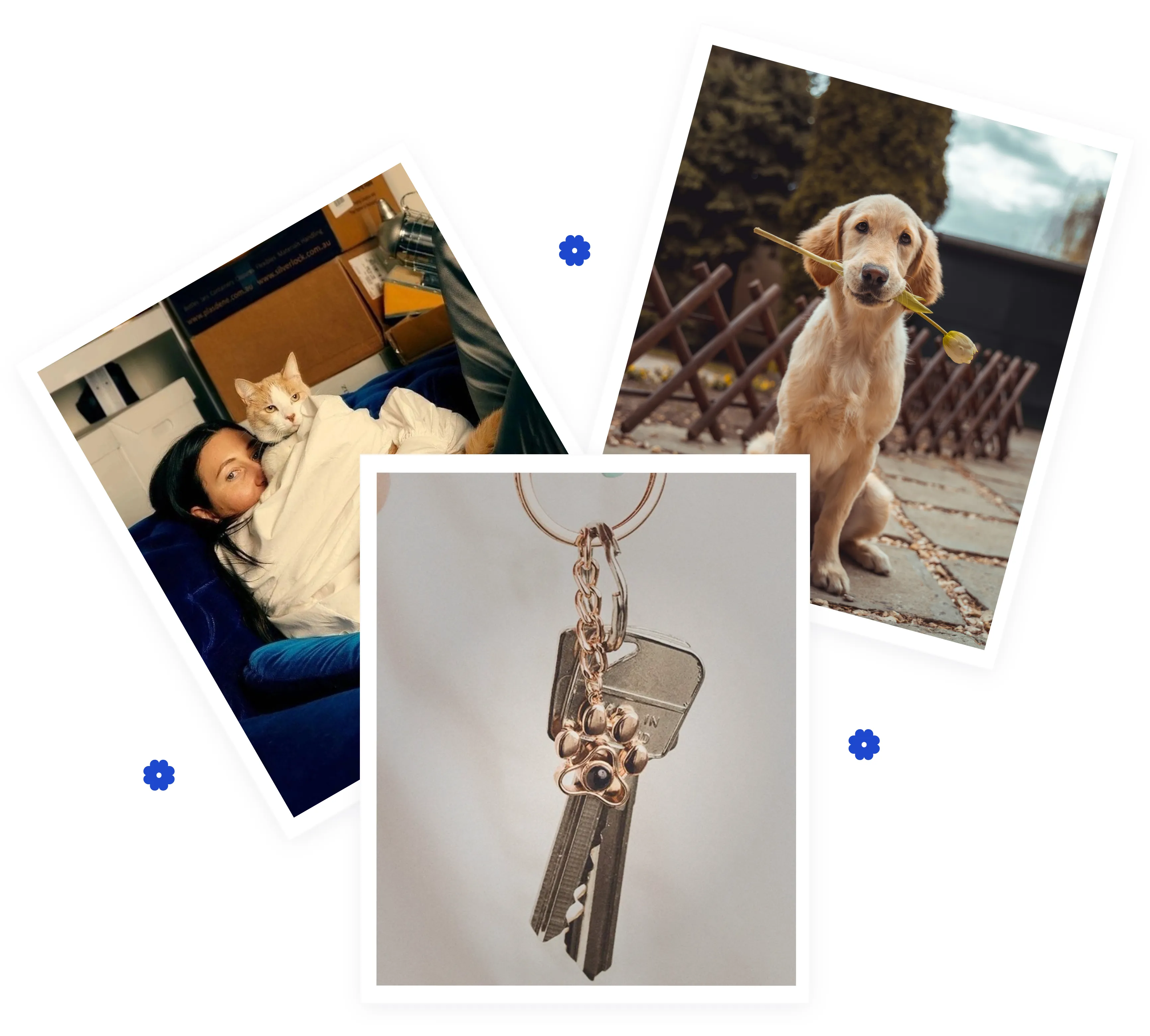 Серебристый ювелирный аксессуар брелок лапка Незабудки