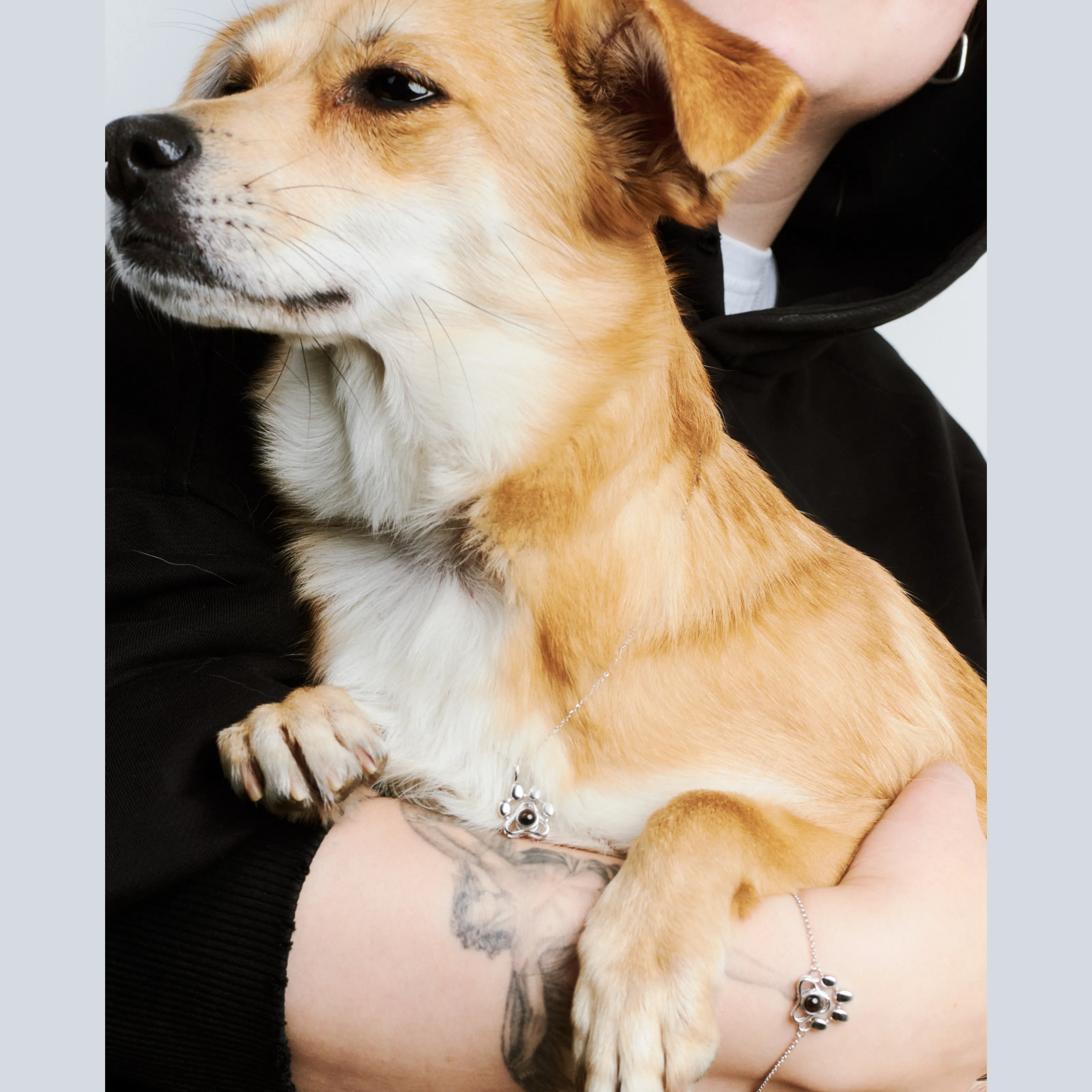 Ювелирная подвеска лапка серебро 925 в подарок