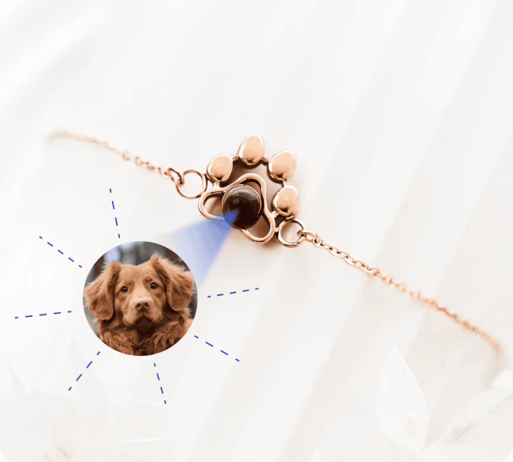 Купить браслет с фото питомца — аксессуар для владельцев животных