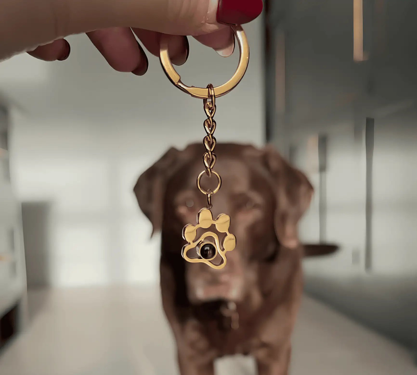 Нежный брелок лапка в серебряном оттенке