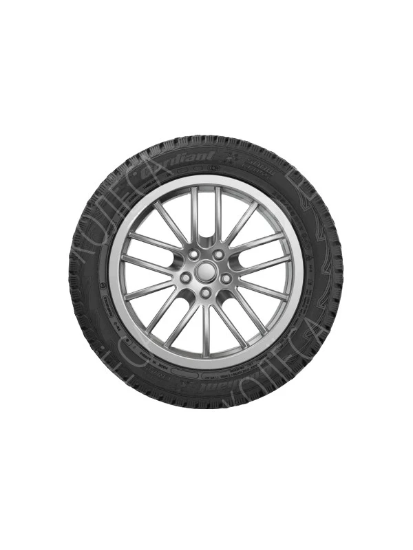 Шины Cordiant Snow Cross